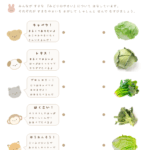 にているけれどちがうもの（みどりのやさい）